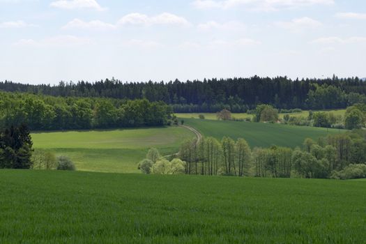 Landscape in the south of Czech Republic