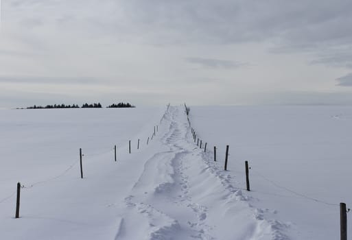 Uphill on the snowy scene with a fence to guide you