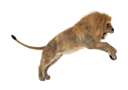 3D digital render of a male lion isolated on white background