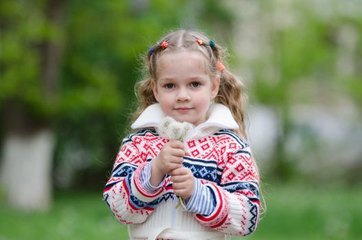 Half-length portrait four-year girl in a jacket with a bouquet of dandelions in the hands of