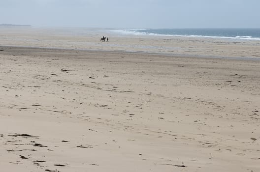 Horse riding in the bay at the beach