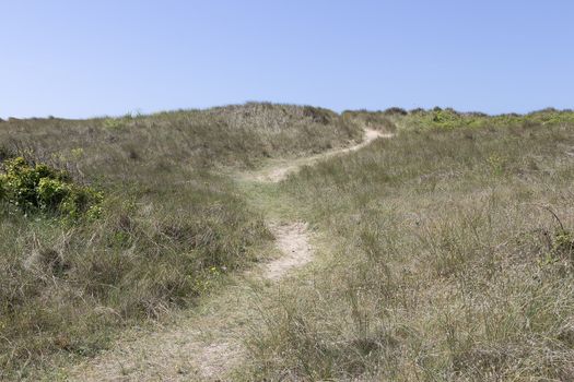 A path that leads over some dunes to the beach