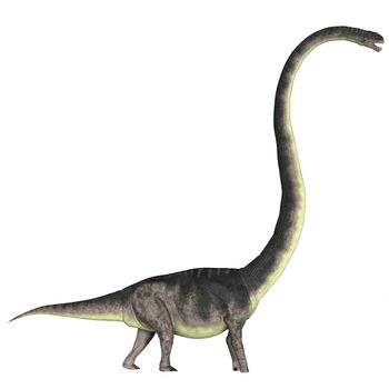 Omeisaurus was a herbivorous dinosaur that lived in the Jurassic Period of China.