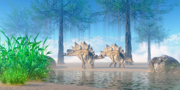 A Jurassic misty morning finds a pair of Stegosaurus herbivorous dinosaurs walking near a pond.