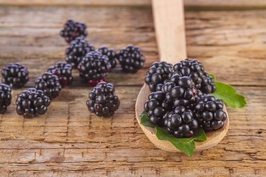 spoon of blackberries on wooden background closeup shot