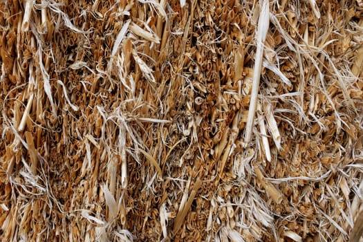 Cut ends of straw in a bale as an abstract background texture