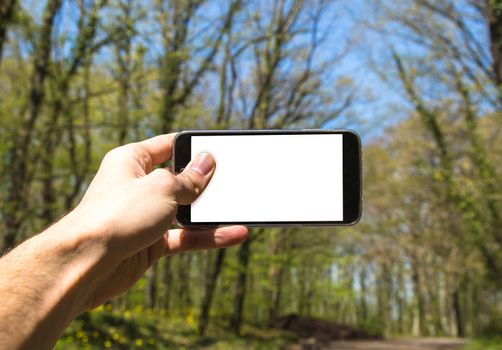 Front view of hand holding horizontal black smartphone with white blank screen in forest.