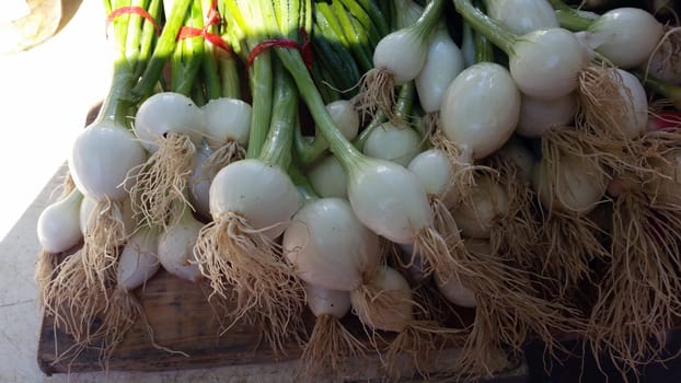 Fresh spring onions. - Saint-Antoine market in Lyon, France