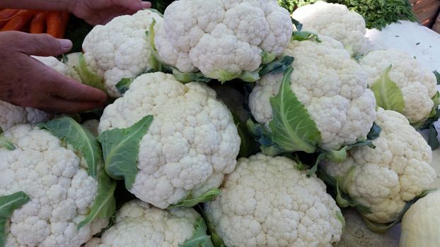 Fresh cauliflower for sale at a market. Lyon, France