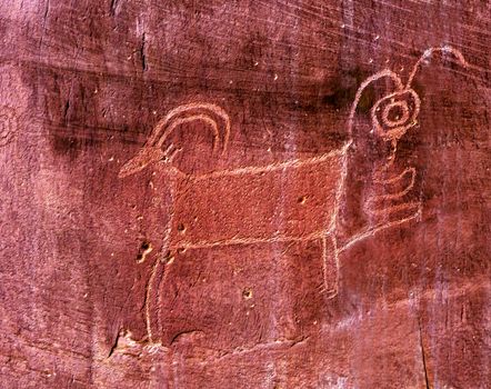 Native American Indian Fremont Sheep Goat Petroglyph Sandstone Mountain Capital Reef National Park Torrey Utah