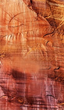 Octopus Abstract Natural Image Sandstone Mountain Capital Reef National Park Torrey Utah