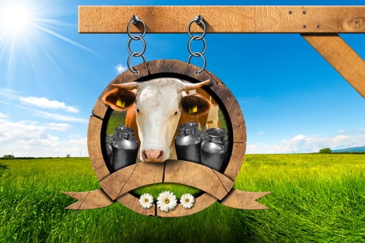 Dairy products sign with head of cow, cans for the transport of milk, green grass and three daisy flowers. Hanging from a metal chain on a pole in a countryside landscape