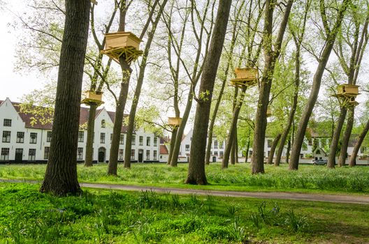 Tree Houses in the Beguinage Garden, Bruges, Belgium