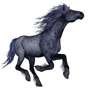 Black blue horse running isolated in white background - 3D render