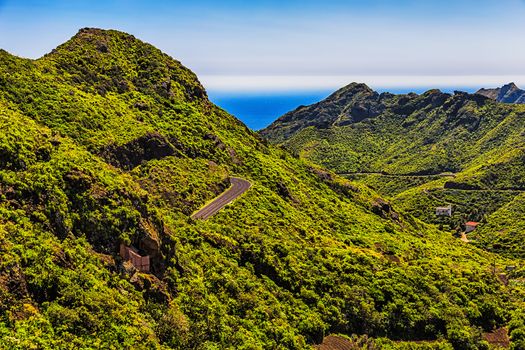 Green mountains or rocks with winding or serpantine road and sky with ocean on horizon or skyline landscape in Tenerife Canary island, Spain at summer