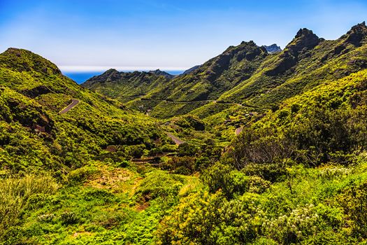Green mountains or rocks valley with winding or serpantine road and sky with ocean on horizon or skyline landscape in Tenerife Canary island, Spain at summer