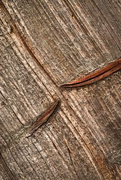 abstract background or texture pattern on old wood
