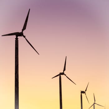 Wind turbines. In the evening, the sun began to darken.