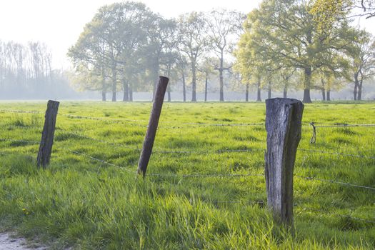 Fence in a meadow in a rural area of Lower Rhine with the evening light