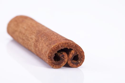 singledried cinnamon stics isolated on white background, macro