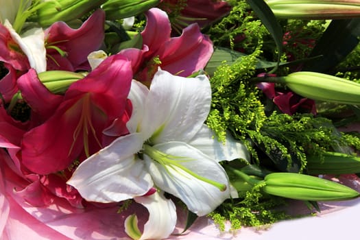 Bouquet of white lilies and red closeup