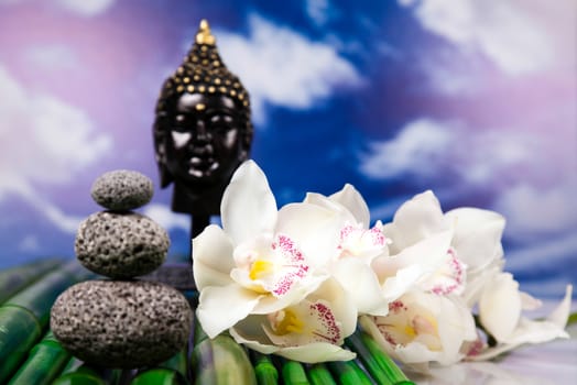 Buddha and blue sky background, vivid colors, natural tone