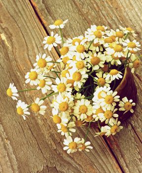 Bouquet of Garden Small Camomiles in Ceramic Bowl closeup on Rustic Wooden background. Retro Styled