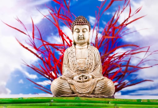 Buddha statue, vivid colors, natural tone