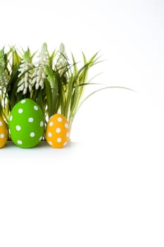 easter eggs hidden in the grass. studio shot