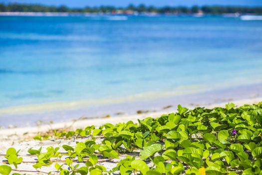 Beautiful sea and coastlines of Gili islands, Indonesia.