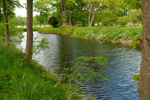 Small beautiful brook stream river in a green lush forest nature background                                    