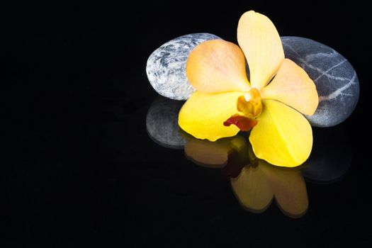 zen basalt stones and orchid isolated on black