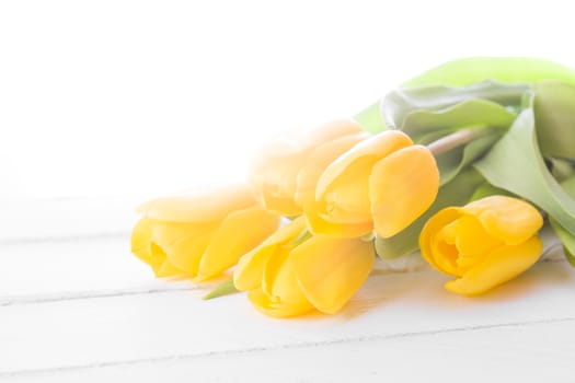 Yellow tulips on a wooden surface. Studio photography.