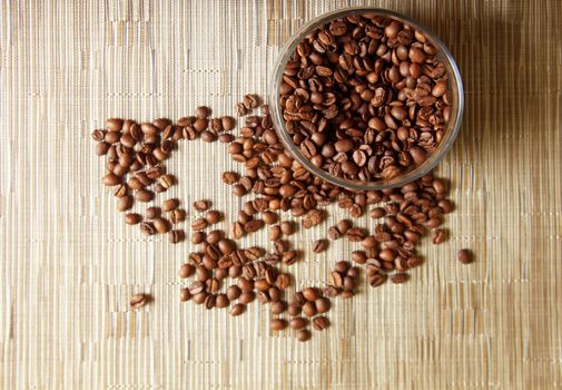Coffee beans in studio shot close-up