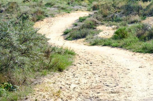 Sandy way through a landscape of dunes to the beach.