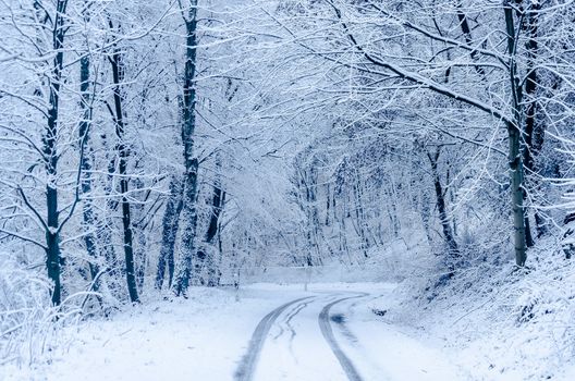 Country Road after snowfall. In the middle of a fresh vehicle lane.