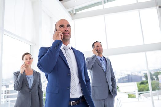 Business colleagues using phones at the office 