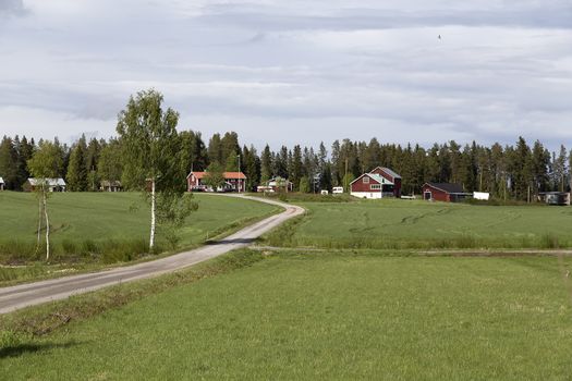 A countryside scene in a landscape with a forrest in the background