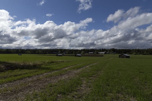 A road on a contryside landscape with some barns and houses