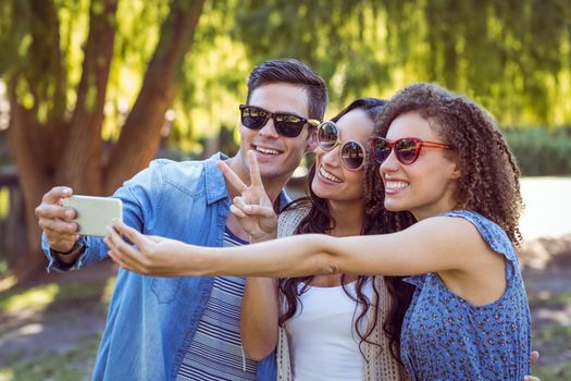 Happy friends taking a selfie in the park on a sunny day