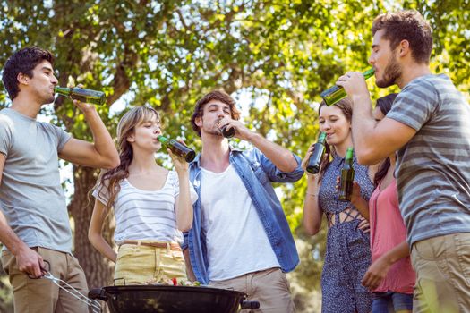 Happy friends in the park having barbecue on a sunny day