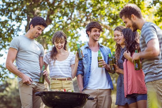 Happy friends in the park having barbecue on a sunny day