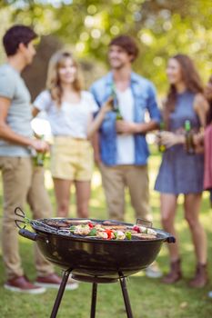 Happy friends in the park having barbecue on a sunny day