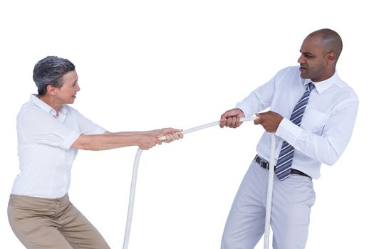 Business people pulling the rope on white background