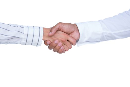 Business people shaking hands on white background