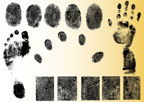 Black and White Vector Fingerprint and footprint elements - Very accurately scanned and traced ( Vectors are transparent so it can be overlaid on other images, vectors etc.)

