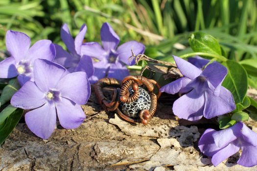 Handmade bronze ring with wood violet in spring on the nature background