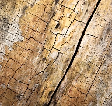 abstract background or texture Cracked rotten wood