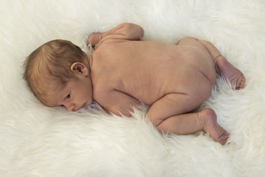 Close up Cute White New Born Baby Lying Naked on White Smooth Furry Fabric.