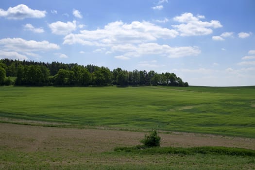 Landscape in the south of Czech Republic